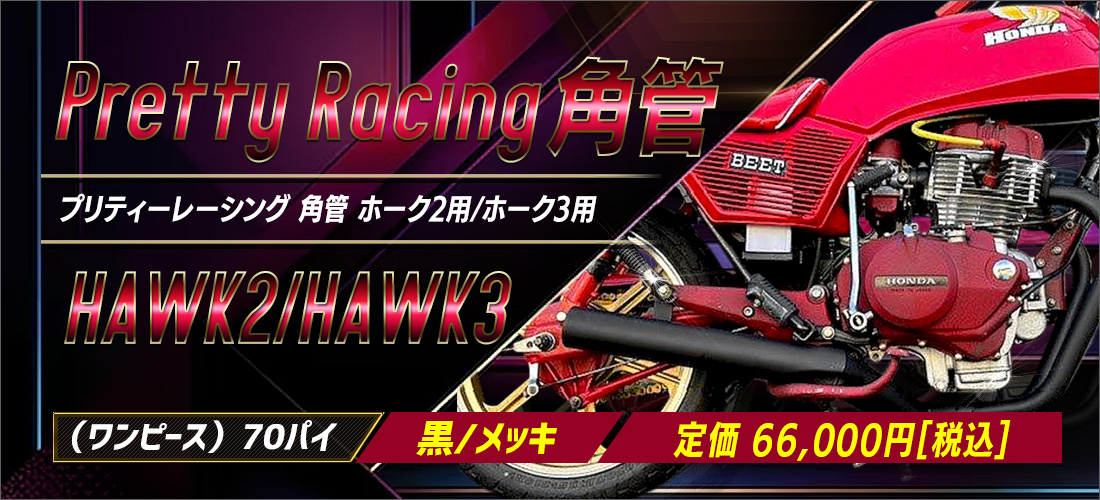 XJR400用 極 PRETTY ロゴマーク付チェーンケース